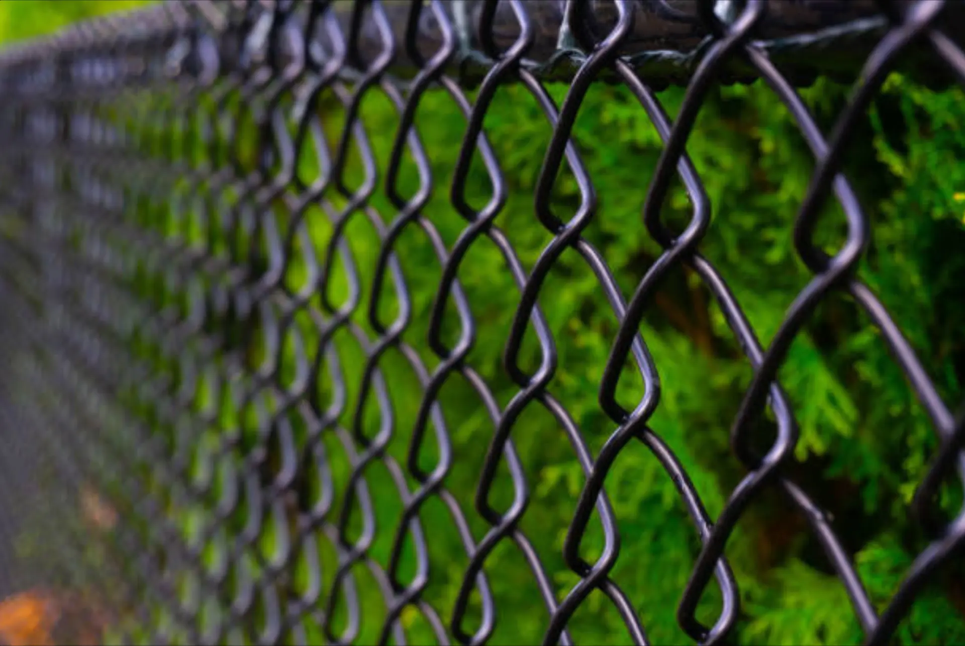 Chain link fence