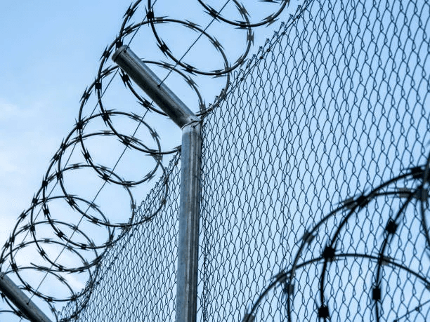 Wire Fencing